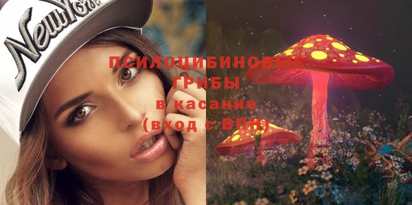 тгк Алзамай