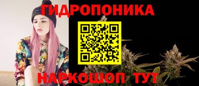 спайс Гатчина