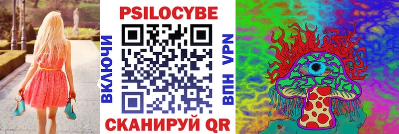 продажа наркотиков  Канаш  Галлюциногенные грибы Psilocybe 