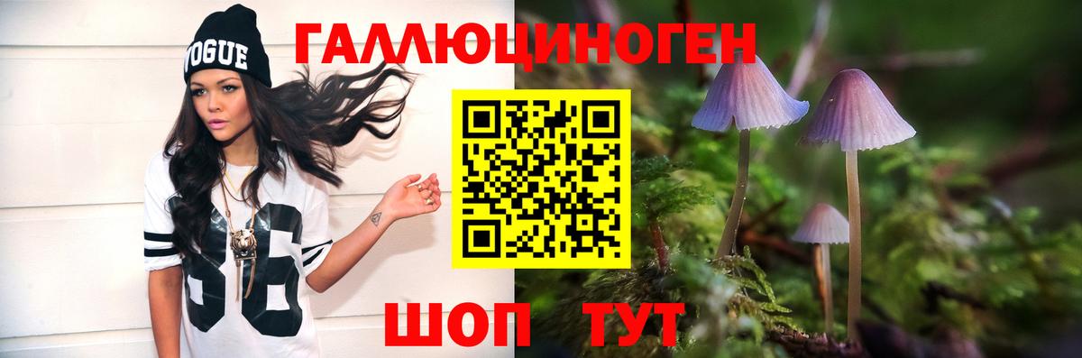 купить наркотик  Вход с VPN  Канаш  Псилоцибиновые грибы MAGIC MUSHROOMS 